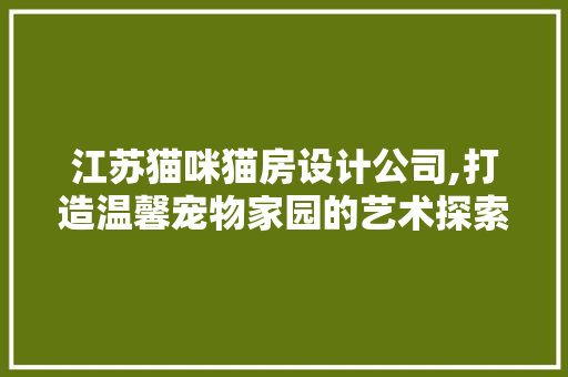 江苏猫咪猫房设计公司,打造温馨宠物家园的艺术探索