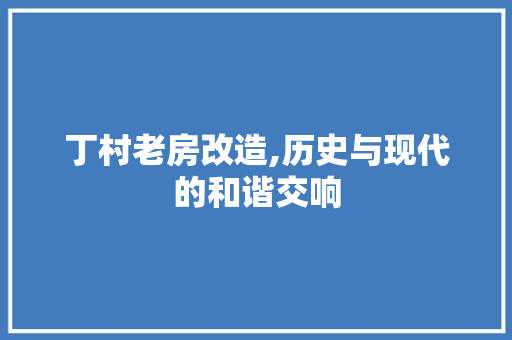 丁村老房改造,历史与现代的和谐交响
