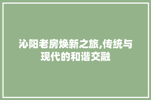 沁阳老房焕新之旅,传统与现代的和谐交融