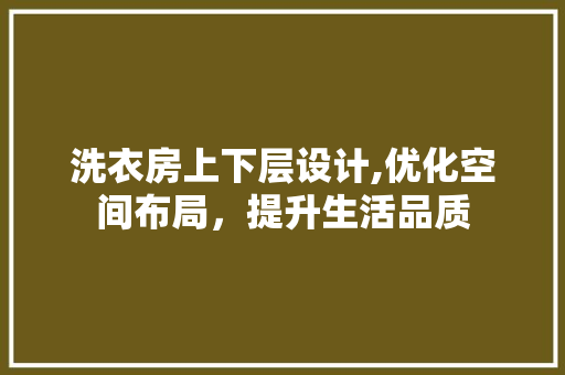 洗衣房上下层设计,优化空间布局，提升生活品质