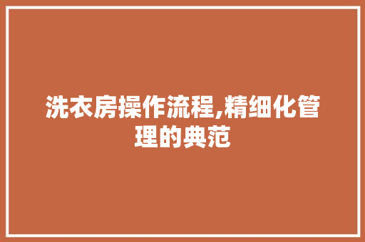洗衣房操作流程,精细化管理的典范