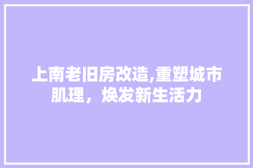 上南老旧房改造,重塑城市肌理，焕发新生活力