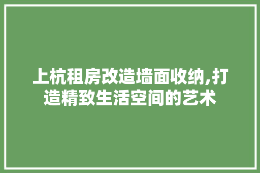上杭租房改造墙面收纳,打造精致生活空间的艺术