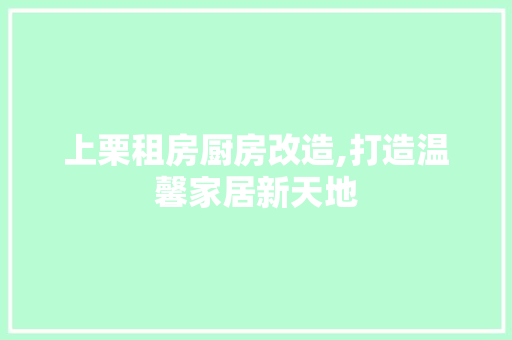 上栗租房厨房改造,打造温馨家居新天地