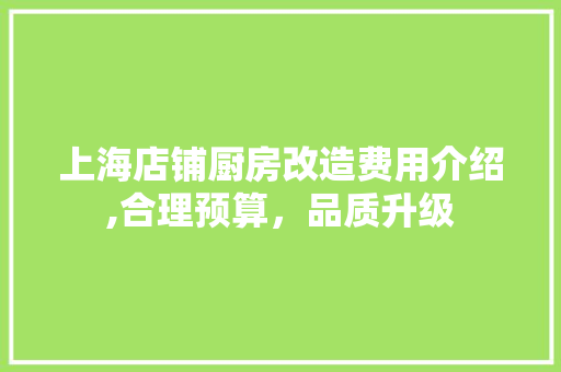 上海店铺厨房改造费用介绍,合理预算，品质升级