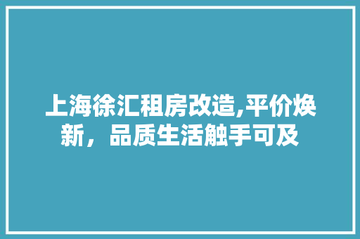 上海徐汇租房改造,平价焕新，品质生活触手可及