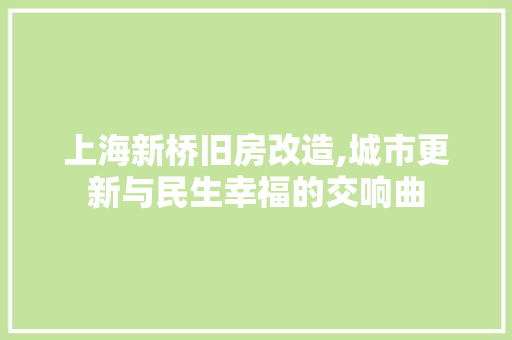 上海新桥旧房改造,城市更新与民生幸福的交响曲
