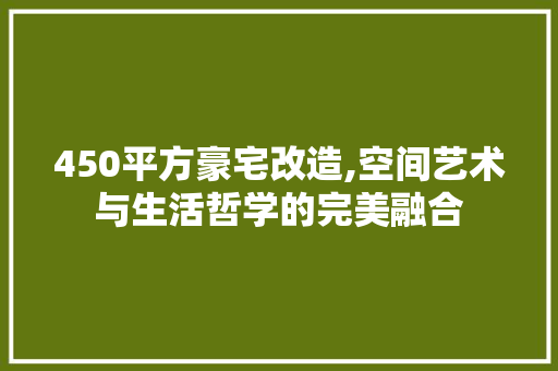 450平方豪宅改造,空间艺术与生活哲学的完美融合