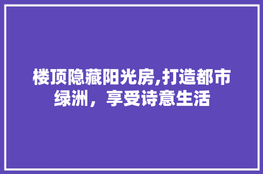 楼顶隐藏阳光房,打造都市绿洲，享受诗意生活