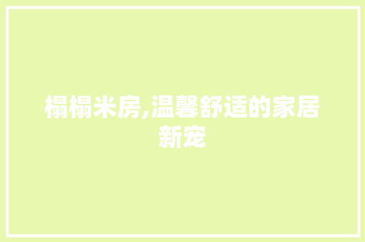 榻榻米房,温馨舒适的家居新宠