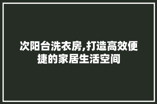 次阳台洗衣房,打造高效便捷的家居生活空间