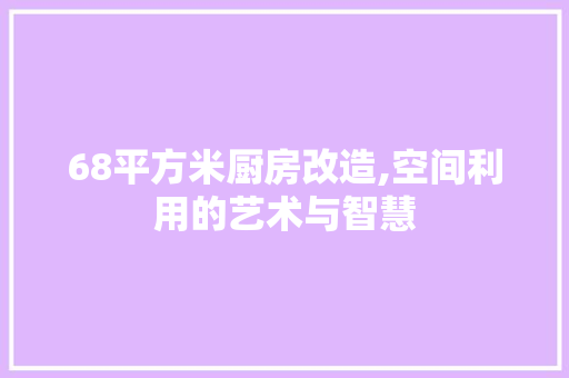 68平方米厨房改造,空间利用的艺术与智慧