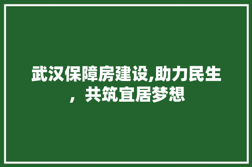 武汉保障房建设,助力民生，共筑宜居梦想