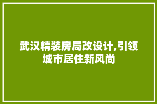 武汉精装房局改设计,引领城市居住新风尚