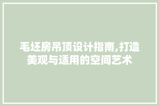 毛坯房吊顶设计指南,打造美观与适用的空间艺术