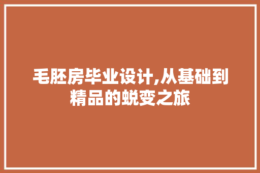 毛胚房毕业设计,从基础到精品的蜕变之旅