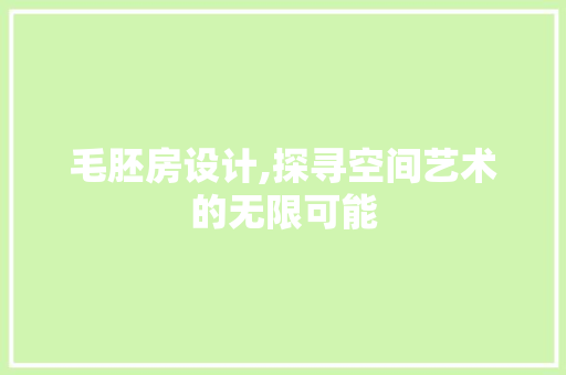 毛胚房设计,探寻空间艺术的无限可能
