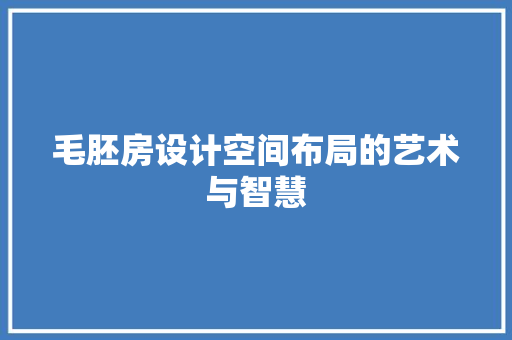 毛胚房设计空间布局的艺术与智慧