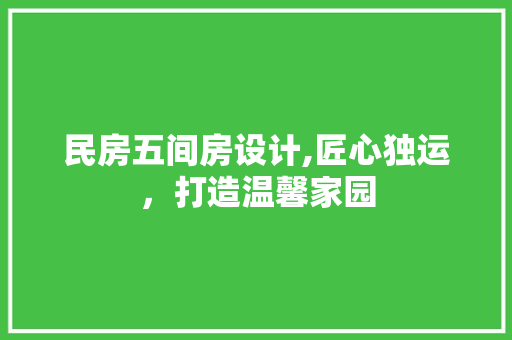 民房五间房设计,匠心独运，打造温馨家园