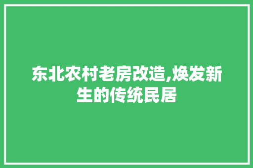 东北农村老房改造,焕发新生的传统民居