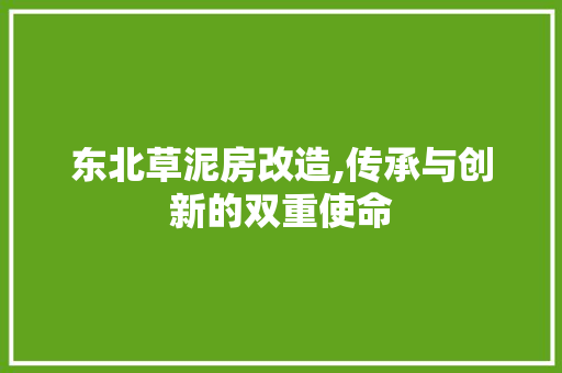 东北草泥房改造,传承与创新的双重使命