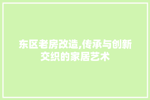 东区老房改造,传承与创新交织的家居艺术