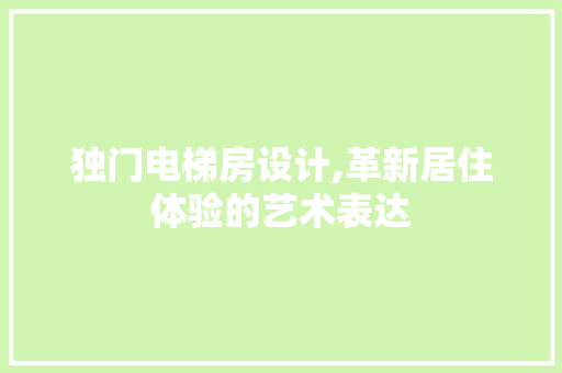 独门电梯房设计,革新居住体验的艺术表达