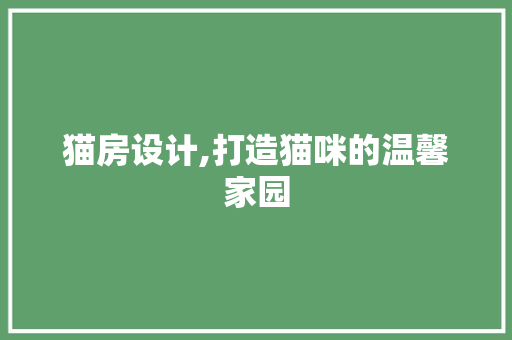 猫房设计,打造猫咪的温馨家园