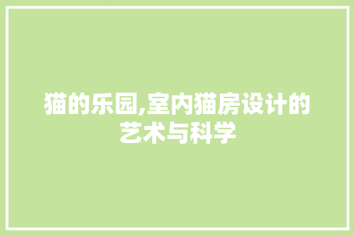猫的乐园,室内猫房设计的艺术与科学
