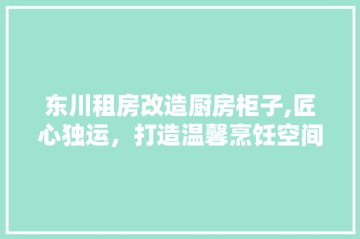 东川租房改造厨房柜子,匠心独运，打造温馨烹饪空间