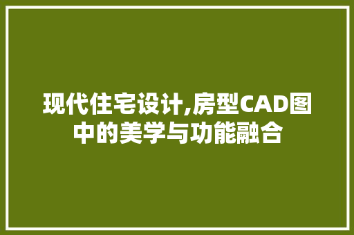 现代住宅设计,房型CAD图中的美学与功能融合