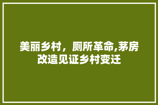 美丽乡村，厕所革命,茅房改造见证乡村变迁