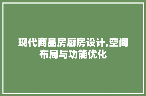 现代商品房厨房设计,空间布局与功能优化