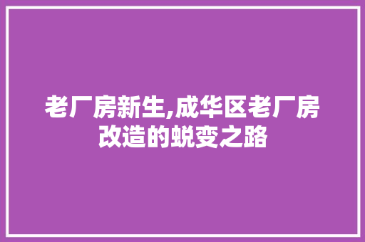 老厂房新生,成华区老厂房改造的蜕变之路