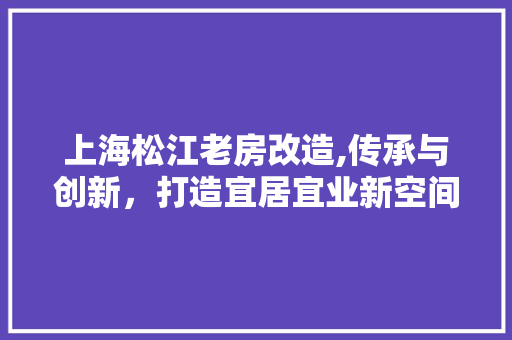 上海松江老房改造,传承与创新，打造宜居宜业新空间
