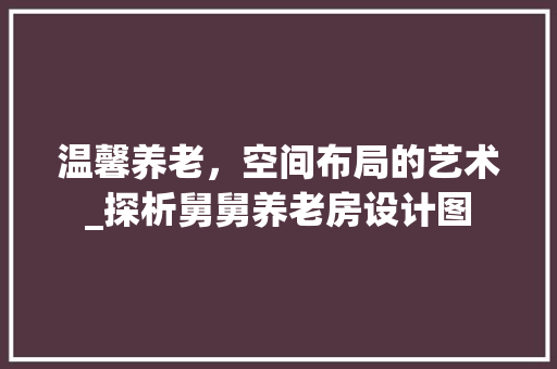 温馨养老，空间布局的艺术_探析舅舅养老房设计图