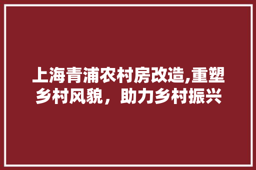 上海青浦农村房改造,重塑乡村风貌，助力乡村振兴