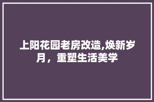 上阳花园老房改造,焕新岁月，重塑生活美学