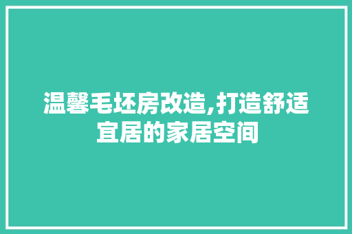 温馨毛坯房改造,打造舒适宜居的家居空间