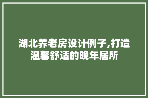 湖北养老房设计例子,打造温馨舒适的晚年居所