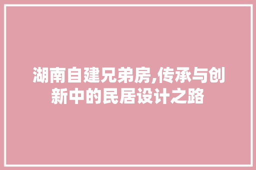 湖南自建兄弟房,传承与创新中的民居设计之路