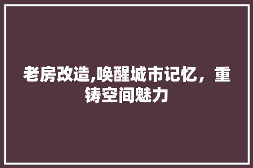 老房改造,唤醒城市记忆，重铸空间魅力