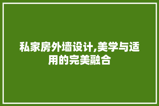 私家房外墙设计,美学与适用的完美融合