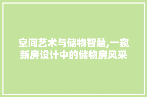 空间艺术与储物智慧,一窥新房设计中的储物房风采