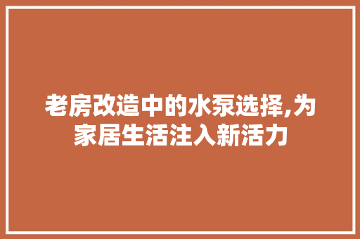 老房改造中的水泵选择,为家居生活注入新活力