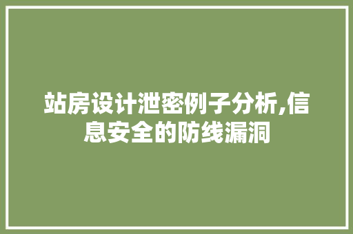 站房设计泄密例子分析,信息安全的防线漏洞