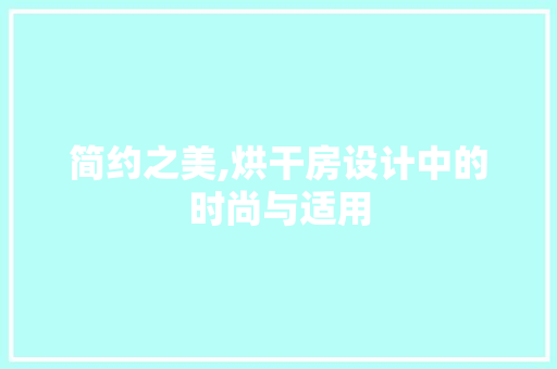 简约之美,烘干房设计中的时尚与适用