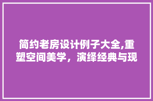 简约老房设计例子大全,重塑空间美学，演绎经典与现代的和谐共鸣
