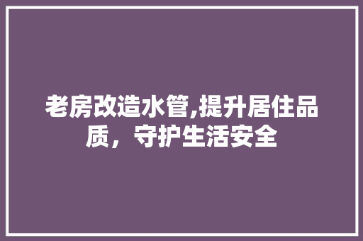老房改造水管,提升居住品质，守护生活安全