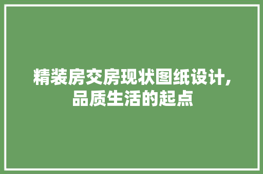 精装房交房现状图纸设计,品质生活的起点